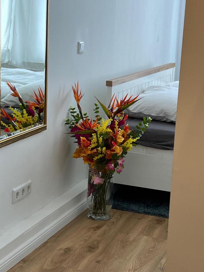 Moderne Wohnung In Der Innenstadt Von Bad Oeynhausen Exteriér fotografie